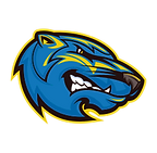 Brescia University